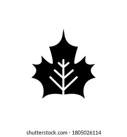 Leaf icon, logo isolated on white background