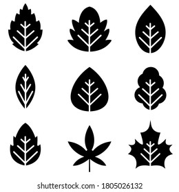 Leaf icon, logo isolated on white background