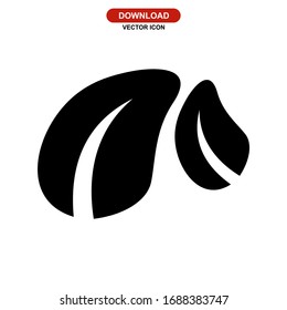 leaf icon or logo isolated sign symbol vector illustration - high quality black style vector icons

