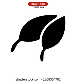leaf icon or logo isolated sign symbol vector illustration - high quality black style vector icons
