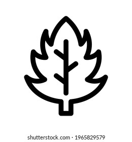 leaf icon or logo isolated sign symbol vector illustration - high quality black style vector icons
