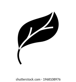 leaf icon or logo isolated sign symbol vector illustration - high quality black style vector icons
