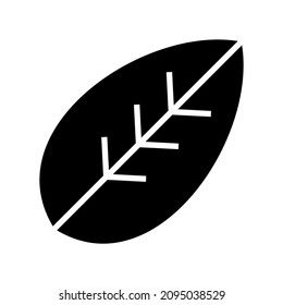 leaf icon or logo isolated sign symbol vector illustration - high quality black style vector icons
