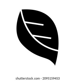 leaf icon or logo isolated sign symbol vector illustration - high quality black style vector icons
