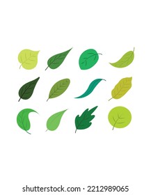 leaf icon or logo isolated sign symbol vector illustration. leaf icon set isolated on white background. Perfect for coloring book, textiles, icon, web, painting, books, t-shirt print.