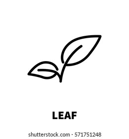 Leaf icon or logo in modern line style. High quality black outline pictogram for web site design and mobile apps. Vector illustration on a white background.