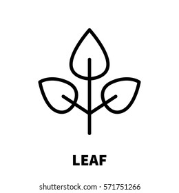 Leaf icon or logo in modern line style. High quality black outline pictogram for web site design and mobile apps. Vector illustration on a white background.