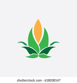 leaf icon to logo nature beauty