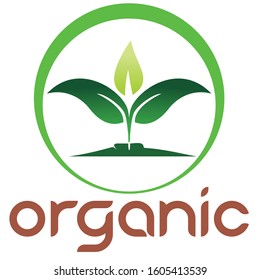 Leaf icon logo nature vector 