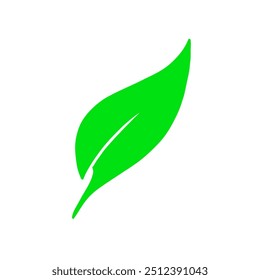 Icono de la hoja para el logotipo y la otra inspiración del diseño