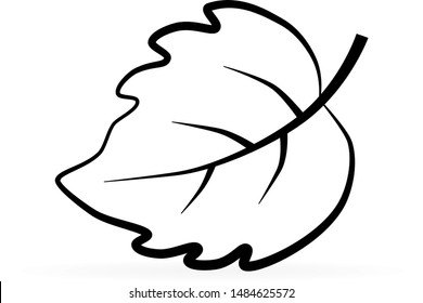 Leaf icon, logo. Spring, summer or autumn  symbol. Outline vector illustration.