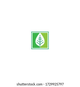 Leaf icon logo template illustration