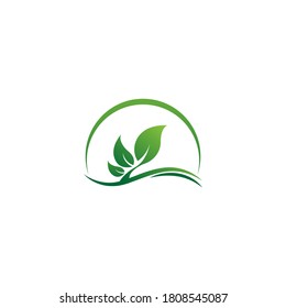 Leaf icon logo template illustration