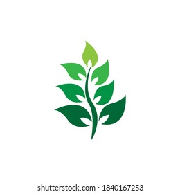 Ilustración del logotipo de icono de hoja
