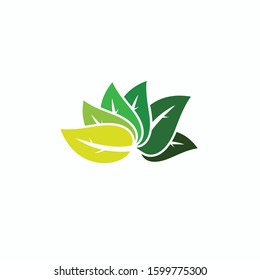 Leaf icon logo vector symbol template