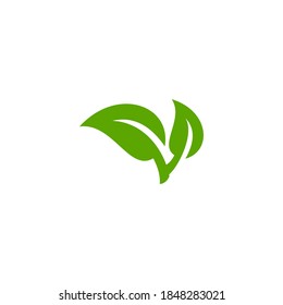 Leaf icon logotype design vector illustration