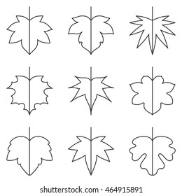 Leaf icon, Maple set thin line in autumn theme, flat vector illustration