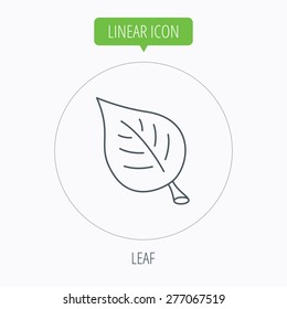 Leaf icon. Natural eco sign. Environment symbol. Linear outline circle button. Vector