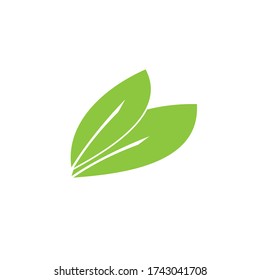 Leaf icon for natural or non toxic products