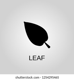 Leaf icon. Nature concept symbol design. Stock - Vector illustration can be used for web
