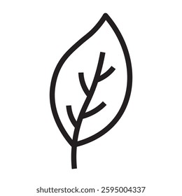 Leaf icon, nature and eco symbol, black and white vector illustration isolated on white background.
