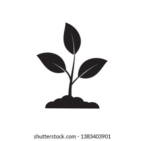 Leaf icon nature illustration vector