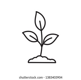 Leaf icon nature illustration vector
