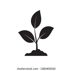 Leaf icon nature illustration vector