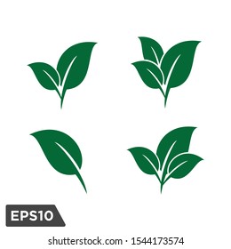 leaf icon nature symbol logo template