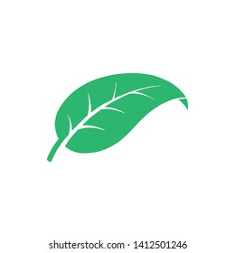 Leaf icon on white background illustration - Vector EPS