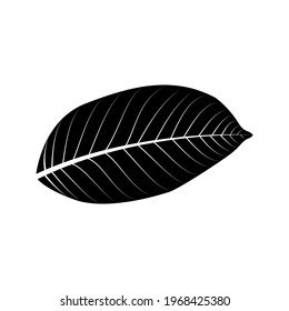 leaf icon on white background. nature sign. vector illustration