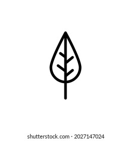 Leaf Icon on white background.