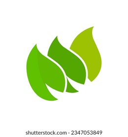 icono de hoja en fondo blanco, ilustración vectorial