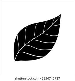 leaf icon on white background