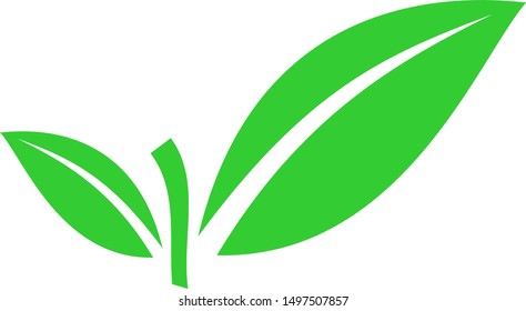 leaf icon. One of set web icons