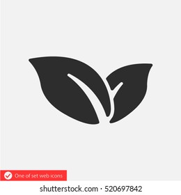 leaf icon. One of set web icons