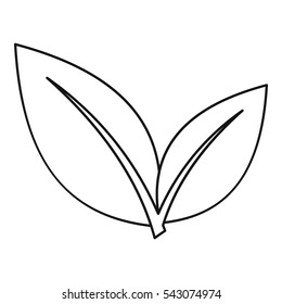 Leaf icon. Outline illustration of leaf vector icon for web