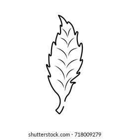 Leaf icon outline isolated on the white background. Vector Illustration