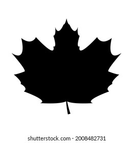 leaf icon png vector isolated on white background.