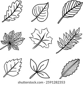 Leaf icon seamless pattern. Set of various leaves. Hand drawn leaves design