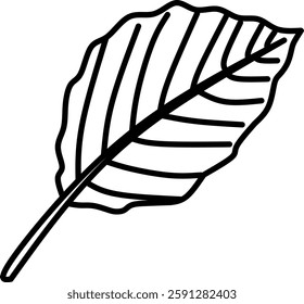 Leaf icon seamless pattern. Set of various leaves. Hand drawn leaves design