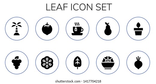 leaf icon set. 10 filled leaf icons.  Collection Of - Island, Grapes, Coconut, Berry, Tea, Leaf, Pear, Salad, Plants, Beet