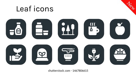 leaf icon set. 10 filled leaf icons.  Simple modern icons about  - Syrup, Trees, Tea, Apple, Sprout, Plant, Green energy, Salad
