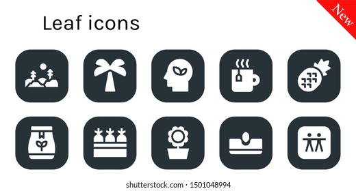 leaf icon set. 10 filled leaf icons.  Simple modern icons about  - Forest, Palm tree, Eco, Tea, Pineapple, Tea bag, Carrots, Sunflower, Sow, Apple