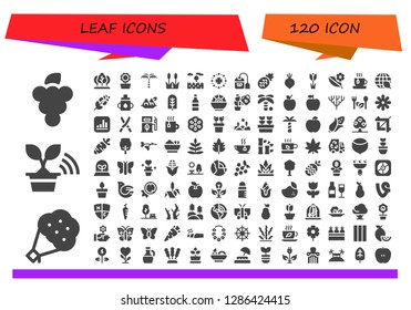  leaf icon set. 120 filled leaf icons. Simple modern icons about  - Grapes, Bouquet, Tree, Sunflower, Palm tree, Reed, Prairie, Saint Patrick, Tea bag, Pineapple, Beet, Tulip