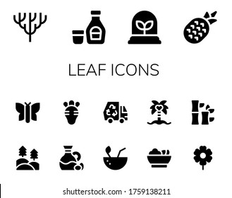 conjunto de iconos de hoja. 14 iconos de hoja rellenos. Comprendidos Coral, Jarabe, Planta, Piña, Bosque, Mariposa, Oliva, Radish, Coco, Eco, Ensalada, Árbol de coco, Flor, Iconos de bambú