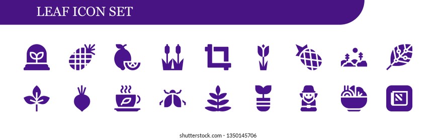 leaf icon set. 18 filled leaf icons.  Simple modern icons about  - Plant, Pineapple, Lemons, Reed, Crop, Tulip, Forest, Renewable energy, Leaf, Beet, Tea, Ladybug, Fern, Leprechaun