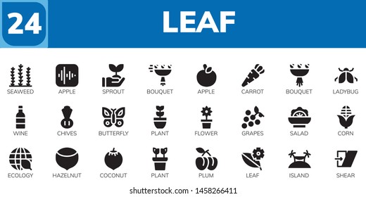 leaf icon set. 24 filled leaf icons.  Collection Of - Seaweed, Apple, Sprout, Bouquet, Carrot, Ladybug, Wine, Chives, Butterfly, Plant, Flower, Grapes, Salad, Corn, Ecology, Hazelnut