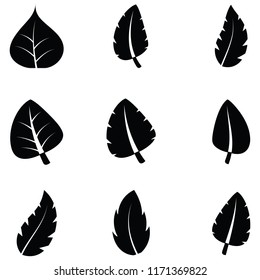 leaf icon set