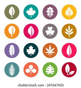 Leaf Icon Set